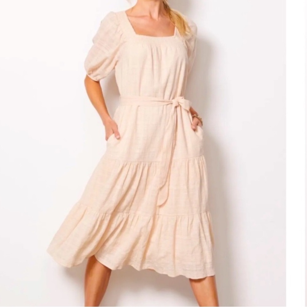 Evereve carly dress